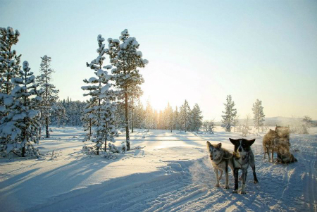 Best Finland Holidays