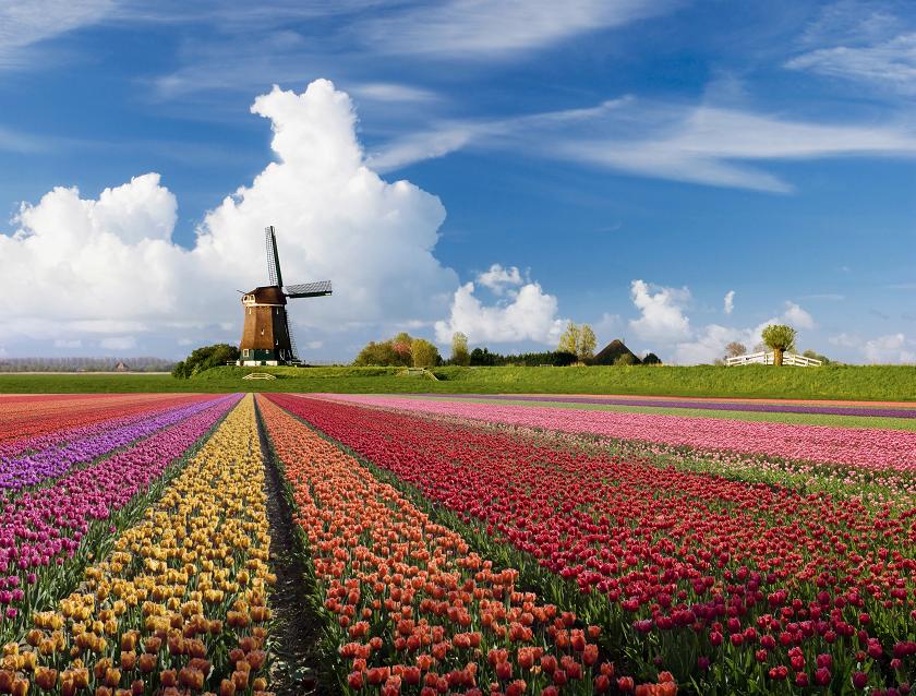Cheap Netherlands Holidays