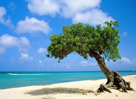 Cheap Aruba Holidays