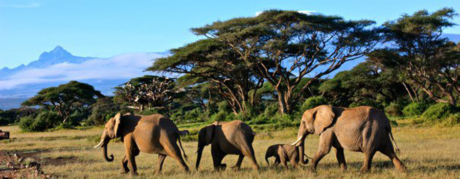 Kenya Holidays