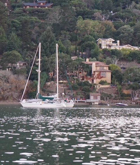 San Francisco Bay Area Sailing