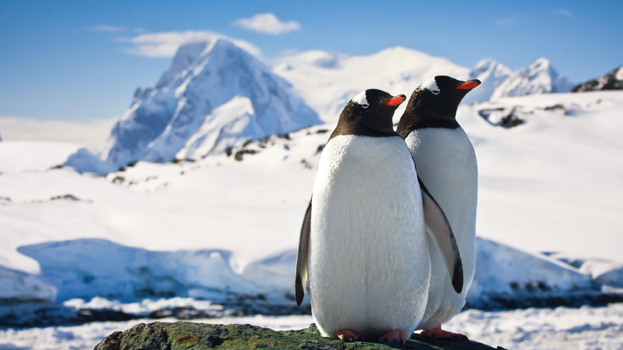 Antarctica Holidays