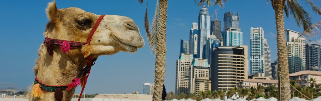 Cheap Flights UAE